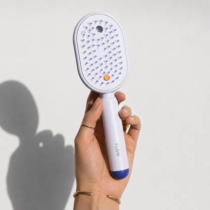 FrizzFlow™ Shine Brush