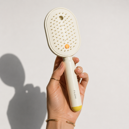FrizzFlow™ Shine Brush